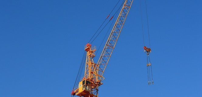 crane-905491_1920